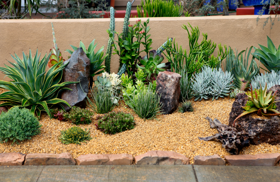 Succulent Garden Ideas for Small Spaces